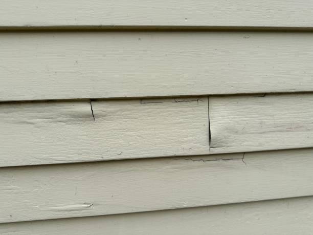 How To Choose The Right Materials for Your Siding Installation in 'Longbranch, WA